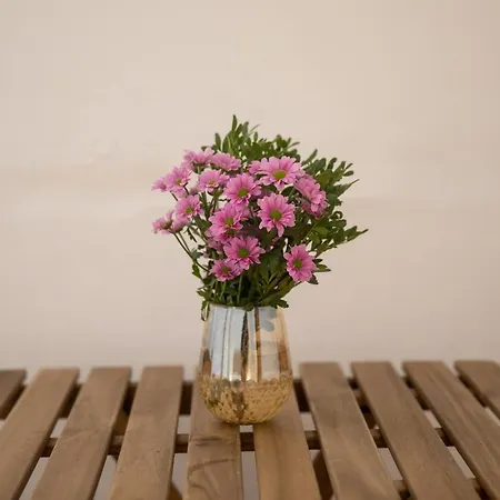 펜션 Golden 아볼라